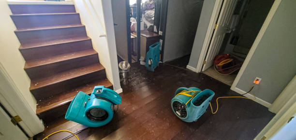 Best Water damage restoration near me  in West Valley City, UT