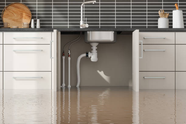 Best Sewage cleanup and water damage restoration  in West Valley City, UT