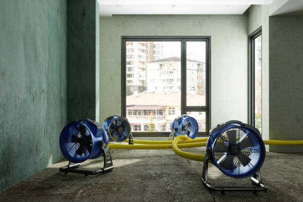Best 24/7 water damage repair  in West Valley City, UT